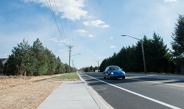 Carter Road